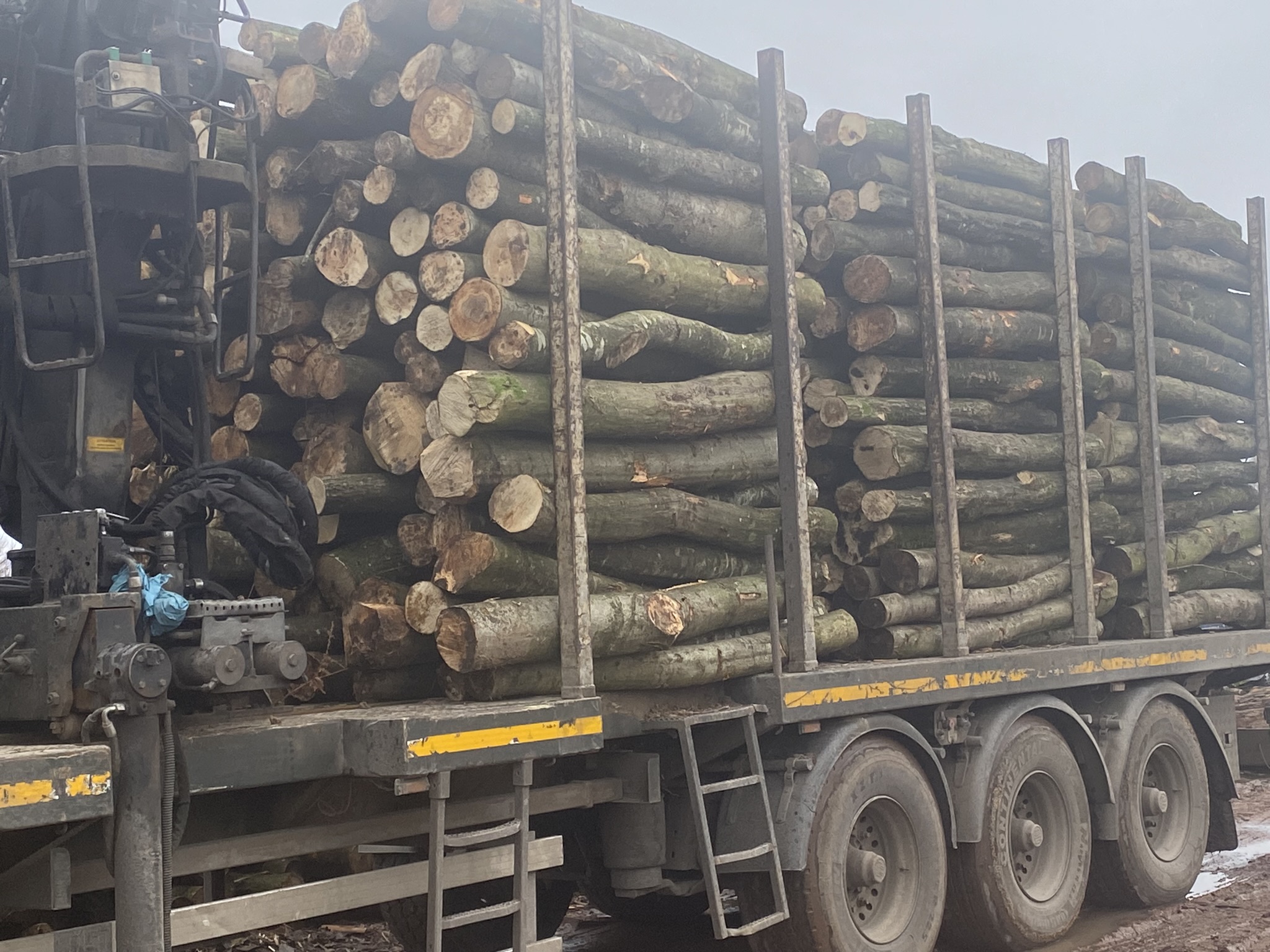 brandhoutleveranciers Temse Bois Nord NV